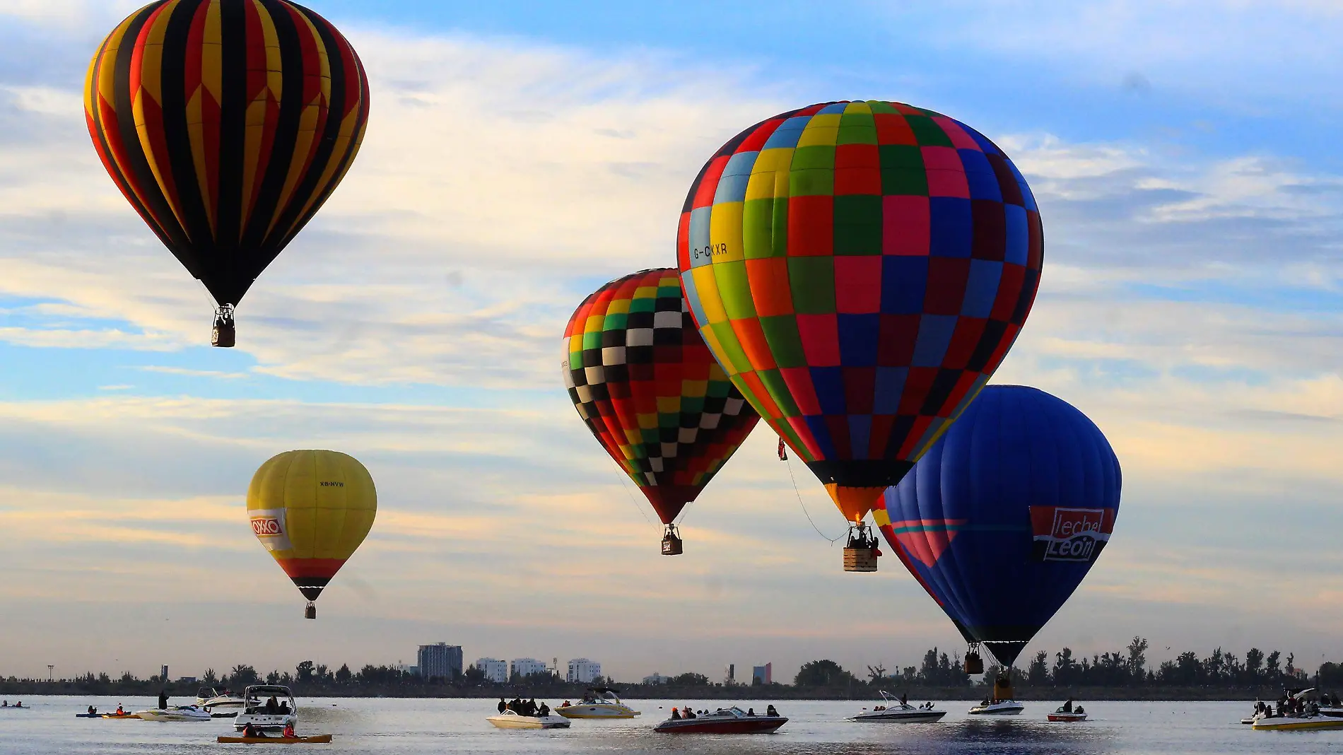 FIGLeon (18)